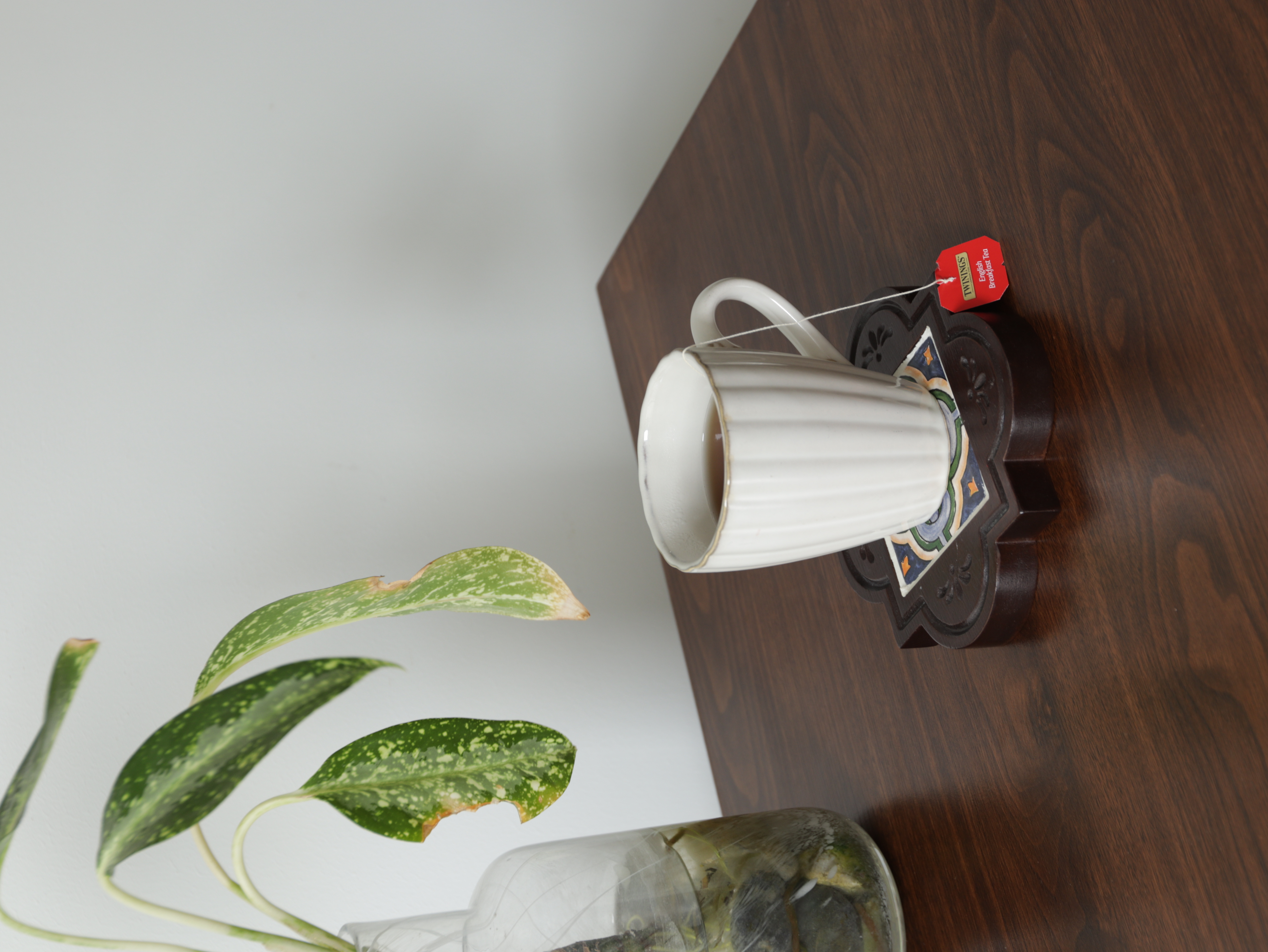 Cup coaster-كوستر